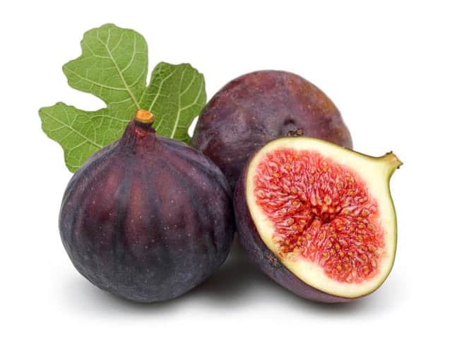 A small picture of Figs x 24's