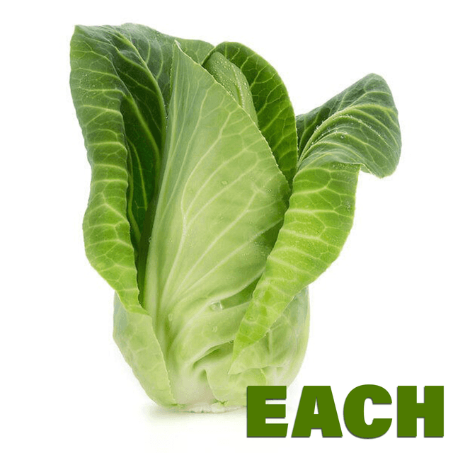 A small picture of Hispi Cabbage EACH