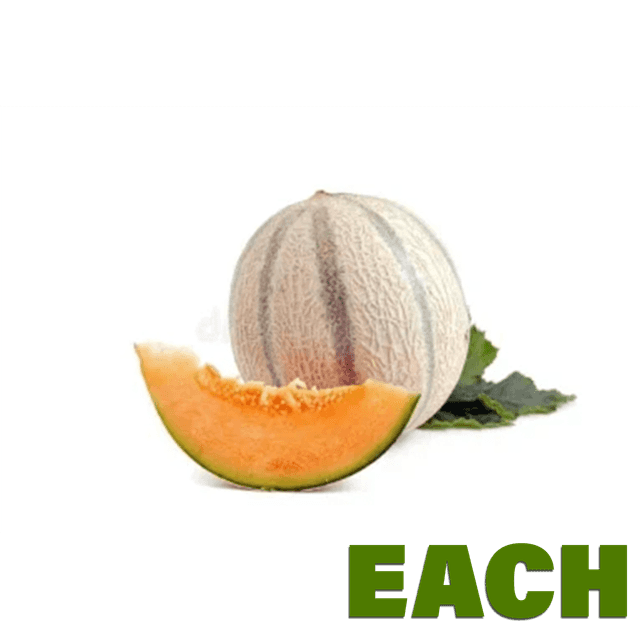A small picture of Cantelope Melons EACH