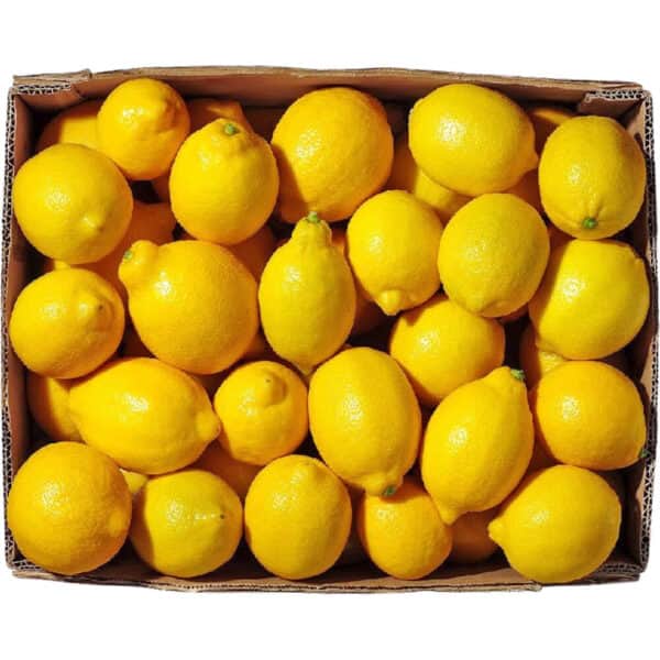 A small picture of Lemons Box (35)