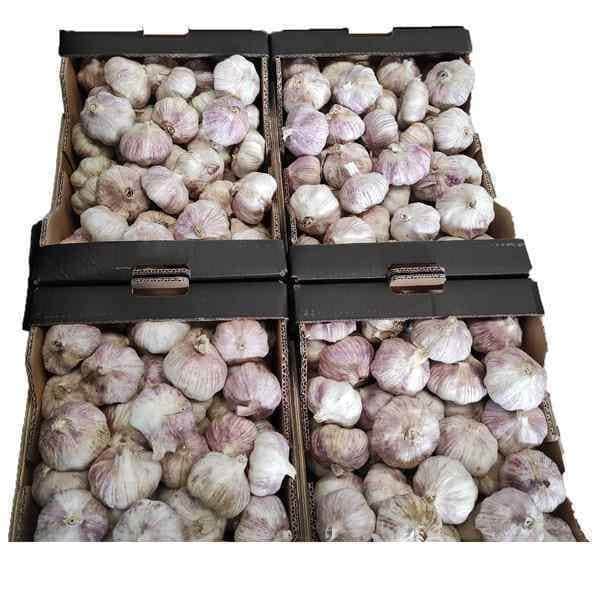 A small picture of Garlic Loose x 4kg