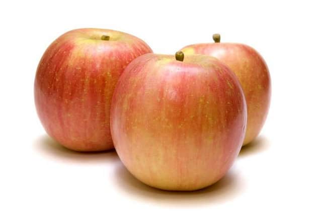A small picture of Fuji Apples 8