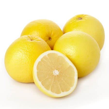 A small picture of White Grapefruit EACH