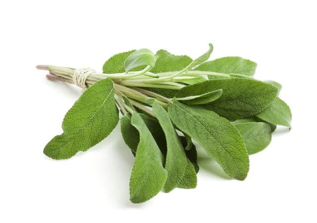 A small picture of Sage x 100g