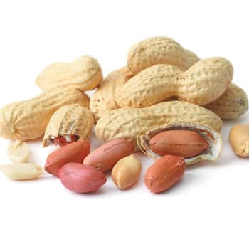 A small picture of Monkey Nuts x 11.36kg