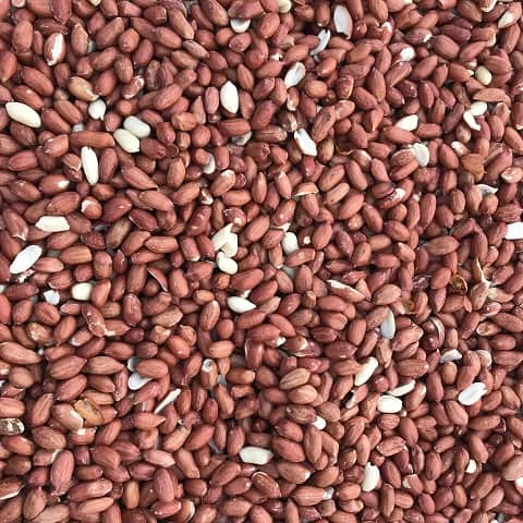 A small picture of Wild Bird Nuts 25kg