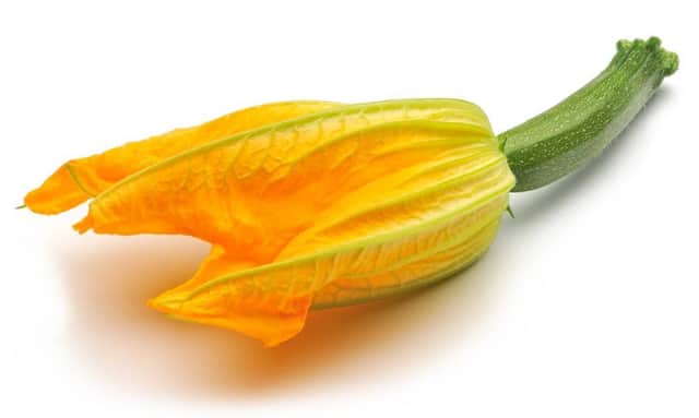 A small picture of Courgette Flowers Tray 10s CASE