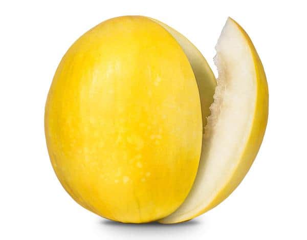 A small picture of Yellow Melons x 12 CASE