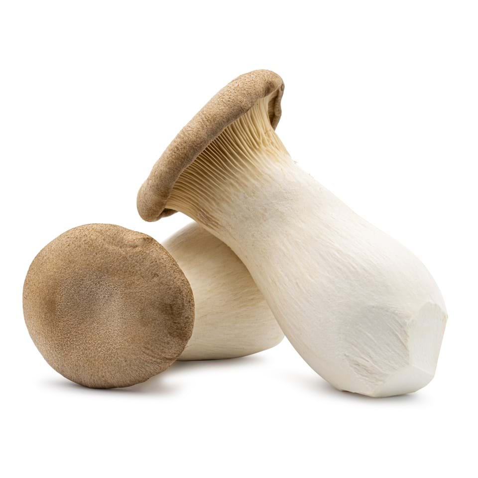 A picture of King Oyster Mushrooms 4kg pack