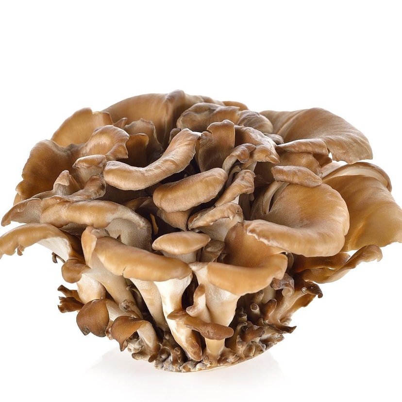 A picture of Maitake Mushroom 1.5kg