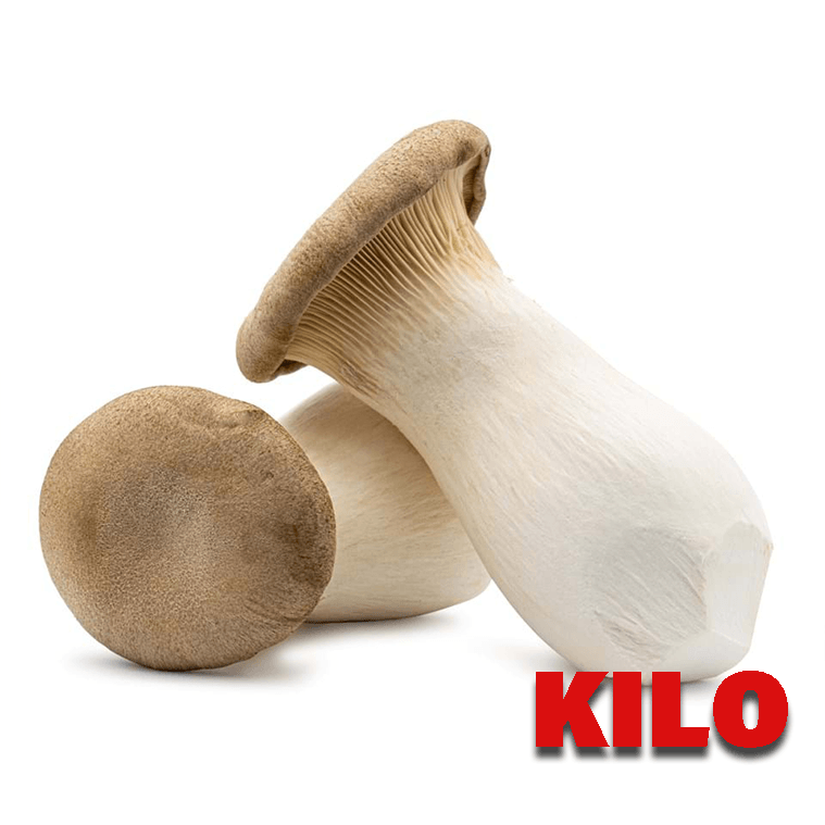 A picture of King Oyster Mushrooms