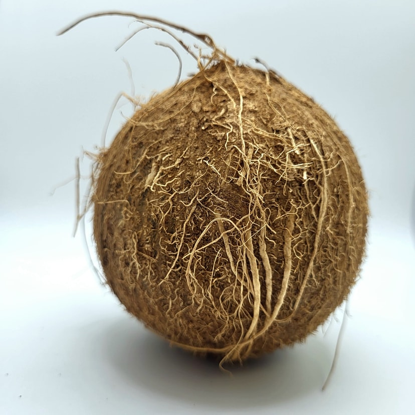 A picture of Coconuts x 50's