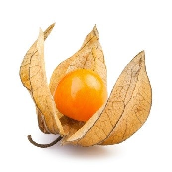 A picture of Physalis 12x100g