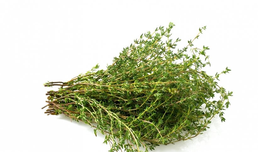 A picture of Thyme 100g