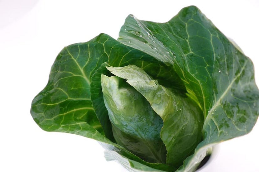 A picture of Spring Cabbage x 12's